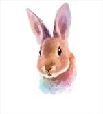 Watercolor Art Rabbit Head