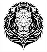 Lion Portrait