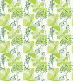 Spring Stalks Leaves