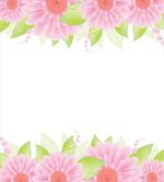 Fresh Gerberas