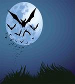 Cloud of Bats Flying