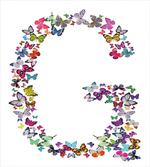 Exotic Butterflies