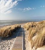 Summer Germany Coastal Sea