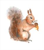 Watercolor Rodent Animal