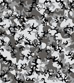 Camouflage Concept