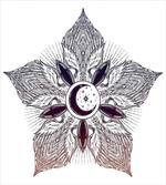 Eastern Feathers Petal