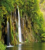 Majestic Waterfall River