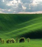 Cloudy Meadow Hills artwork