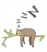 Arboreal Mammal Sleeping