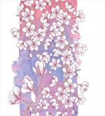 Japanese Spring Bloom