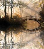 Bridge River Forest