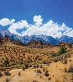 Barren Lands Landscape