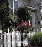 Floral Cozy House Garden Art