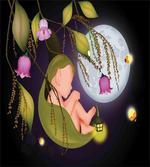 Moon Mystic Night Fairytale