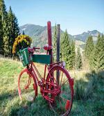 Mountain Landscape and Bike