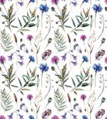 Wildflowers in Spring