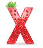Vegetarian Typography