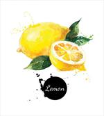 Sour Citrus Lemon Design