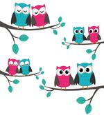 Couples of Owls on Tree