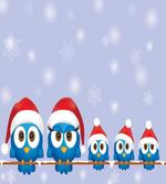 Fun Birds Santa Hats