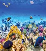Ocean Corals Goldfish