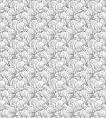Monochrome Magnolia Petals