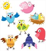Funny Birds Sun Cartoon artwork