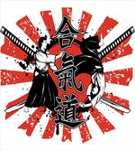 Aikido Samurai Fight