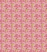 Vintage Dog-Rose Blooming