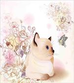 Pastel Kitty and Butterflies