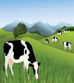 Agriculture Landscape