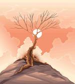 Lonely Tree on Cliff