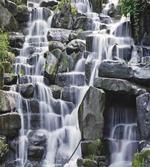 Stream on Rock Nature