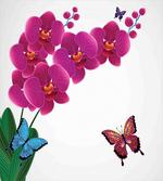 Pink Bouquet Butterflies