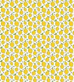 Citrus Fruits Leaves Art