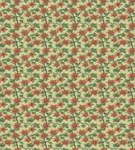 Hand Drawn Spring Motifs