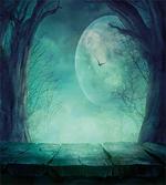 Spooky Forest Halloween