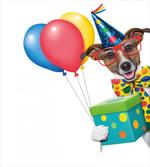 Colorful Balloon Box