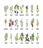 Natural Treatment Infographic