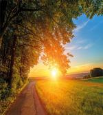Tranquil Path at Sunset