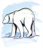 Pencil Sketch Polar Bear
