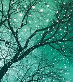 Stars Bare Branches