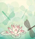 Exotic Lily Dragonflies
