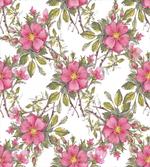 Dog Rose Garden Floral