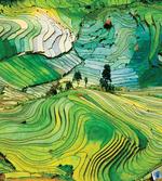 Aerial Scenery Nature