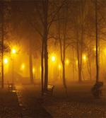 Foggy Evening in the Park