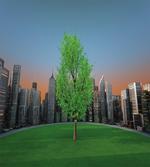 Cityscape Modern Garden