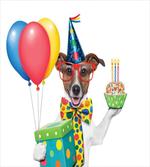 Party Dog and Balloons
