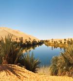 Idyllic Oasis Awbari