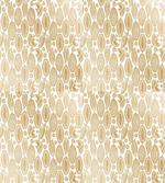 Cocoa Beans Plain Backdrop